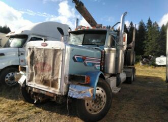  1993 PETERBILT  - Image 0.