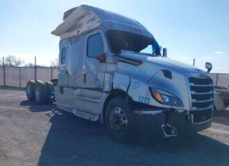  2019 FREIGHTLINER  - Image 0.