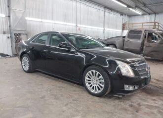  2010 CADILLAC  - Image 0.