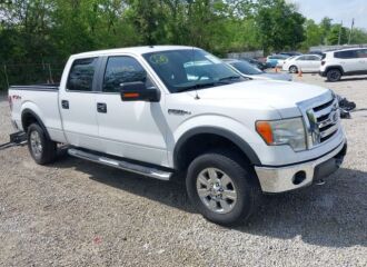  2009 FORD  - Image 0.