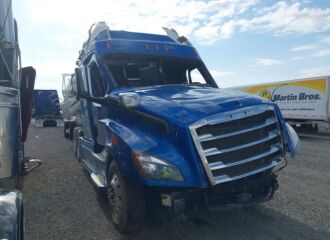  2019 FREIGHTLINER  - Image 0.