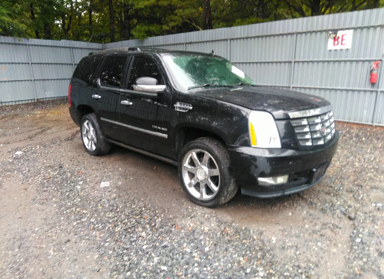 2010 CADILLAC  - Image 1.