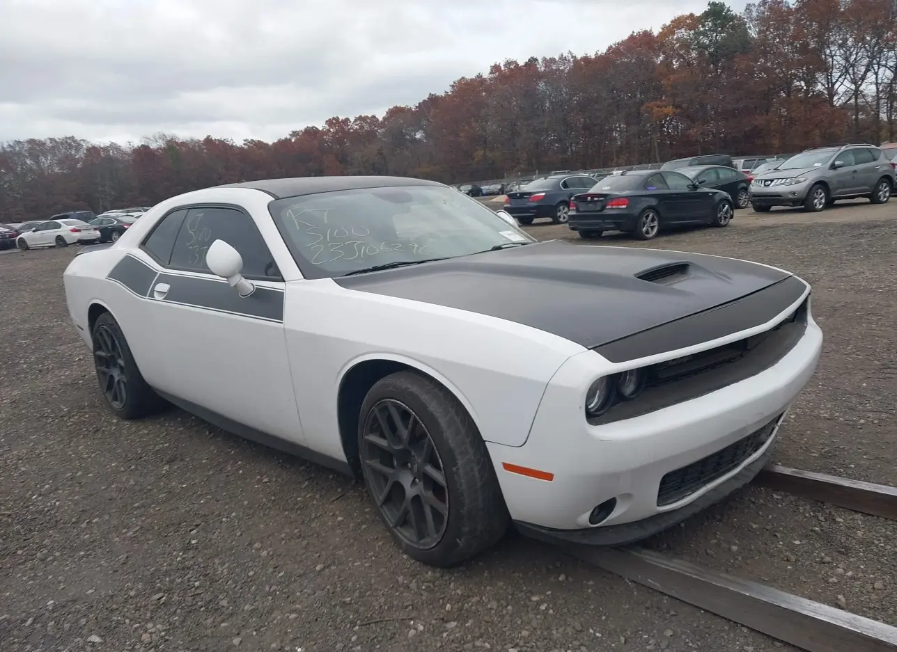 2018 DODGE  - Image 1.