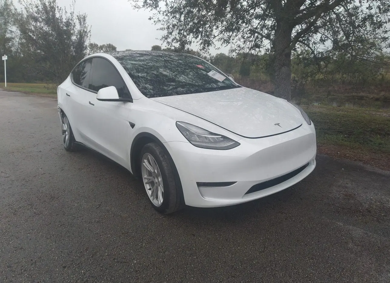 2021 TESLA  - Image 1.