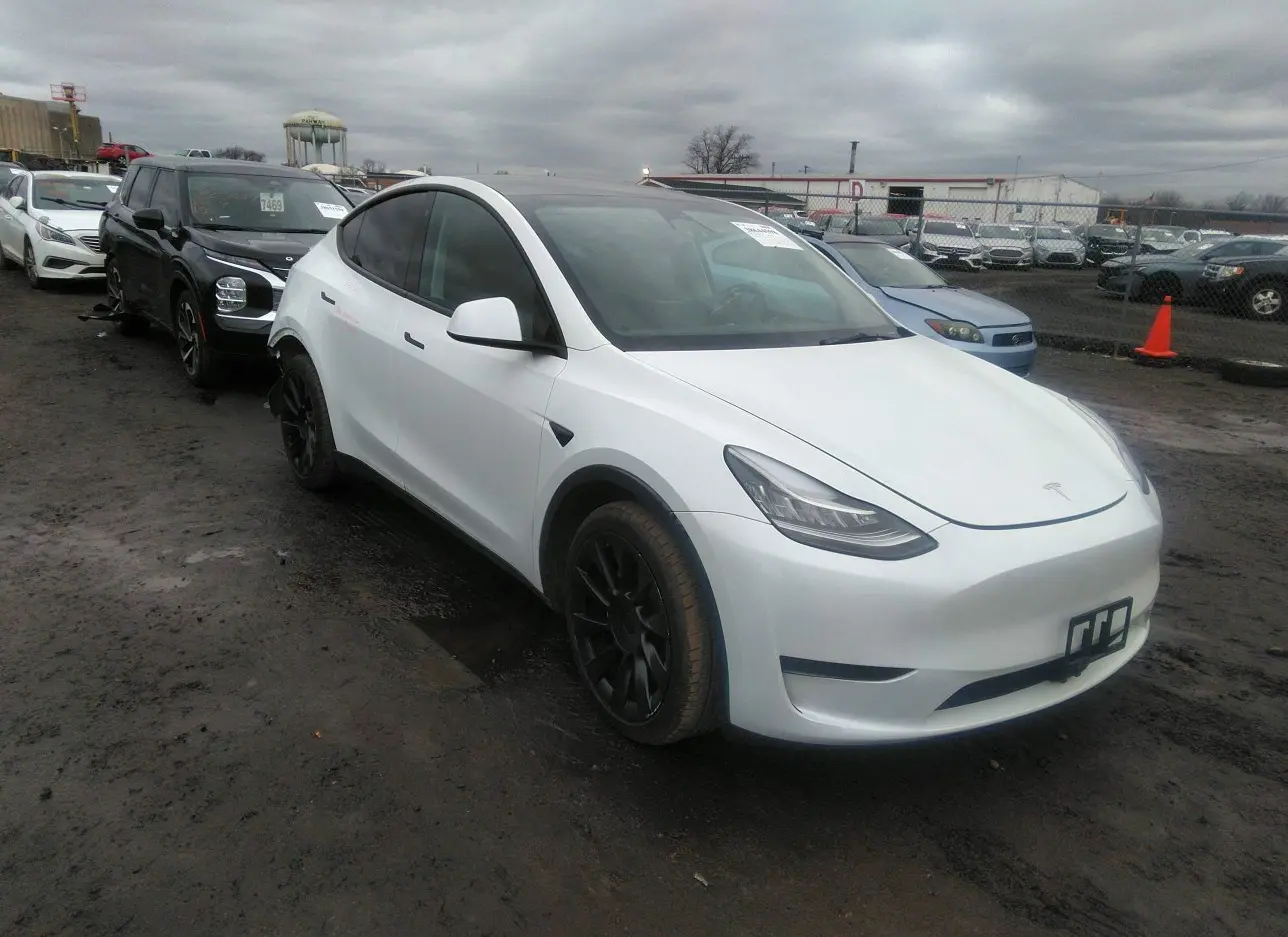 2023 TESLA  - Image 1.