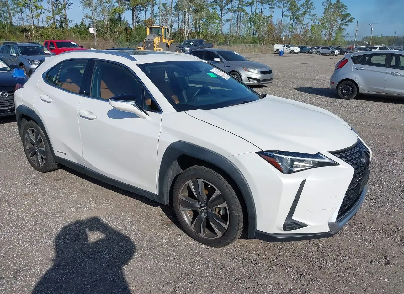 2019 LEXUS  - Image 1.