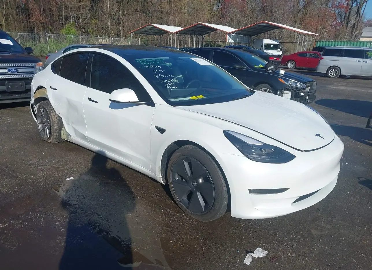 2023 TESLA  - Image 1.