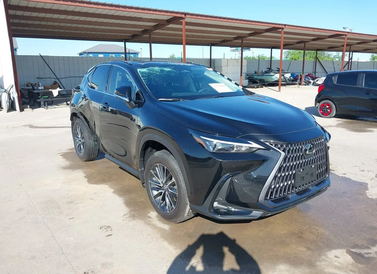 2024 LEXUS  - Image 1.