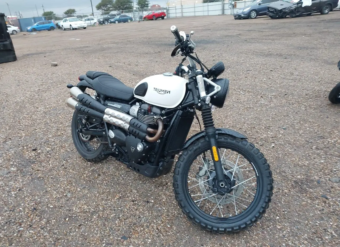 2019 TRIUMPH  - Image 1.