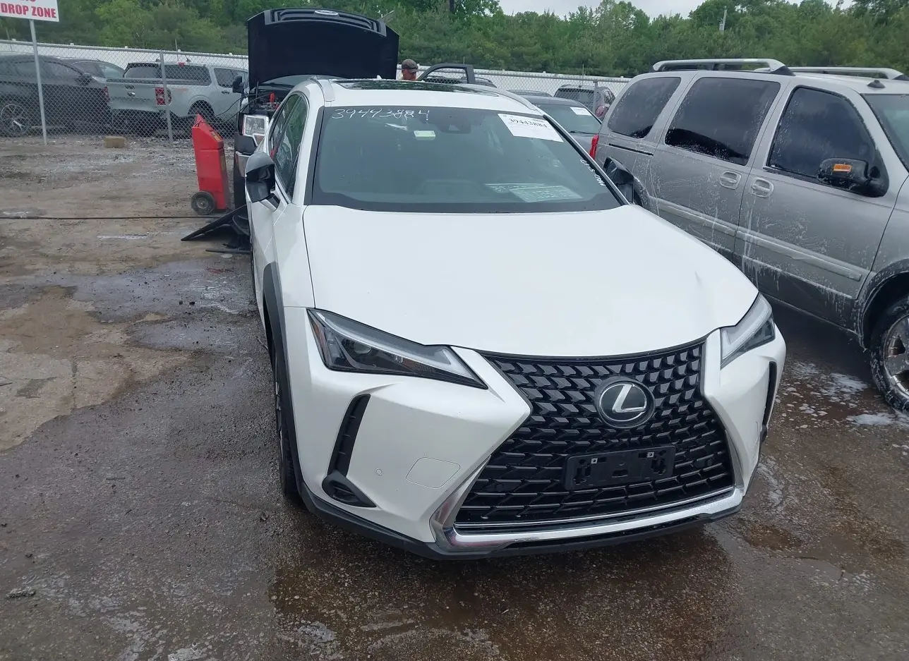 2024 LEXUS  - Image 1.