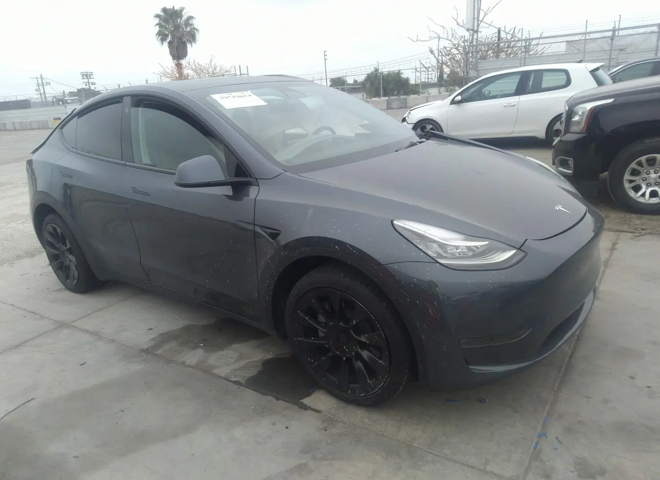 2023 TESLA  - Image 1.