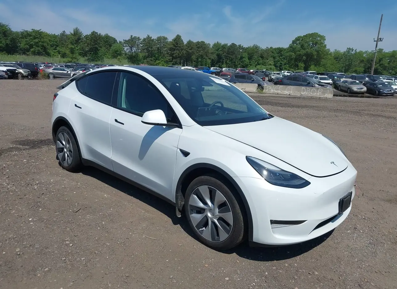 2023 TESLA  - Image 1.