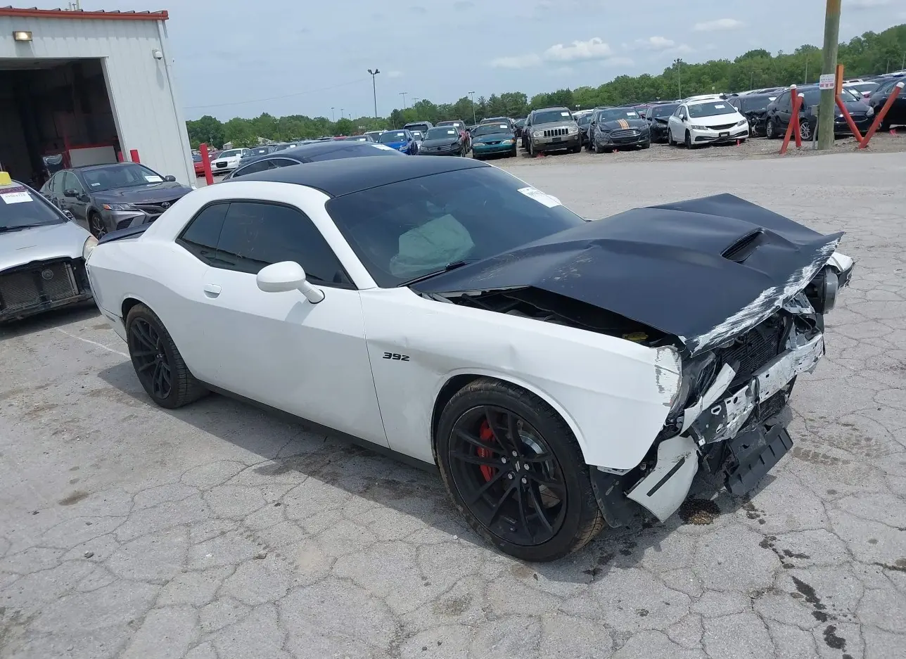 2019 DODGE  - Image 1.