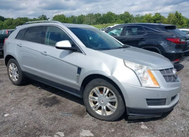 2011 CADILLAC  - Image 1.