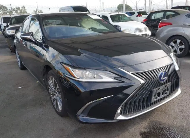 2019 LEXUS  - Image 1.