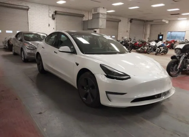 2023 TESLA  - Image 1.