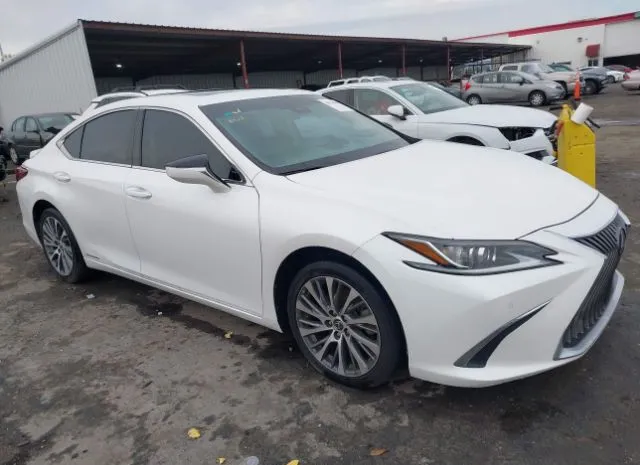 2019 LEXUS  - Image 1.