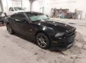 2014 FORD Mustang 5.0L 8