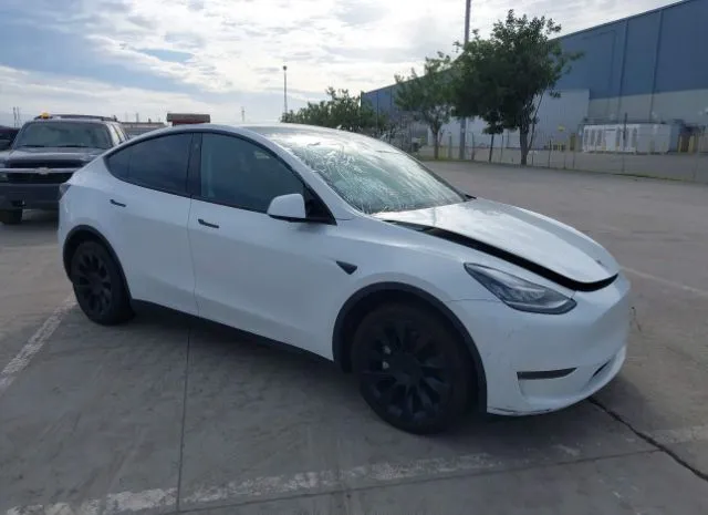 2023 TESLA  - Image 1.