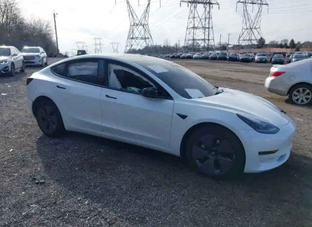 2023 TESLA  - Image 1.