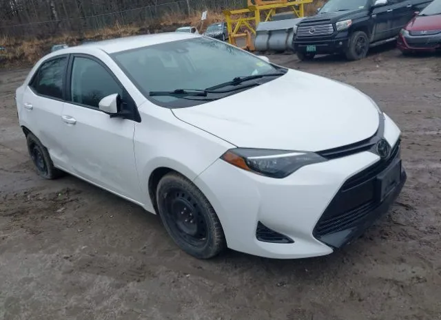 2019 TOYOTA  - Image 1.