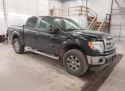 2014 FORD F-150 5.0L 8