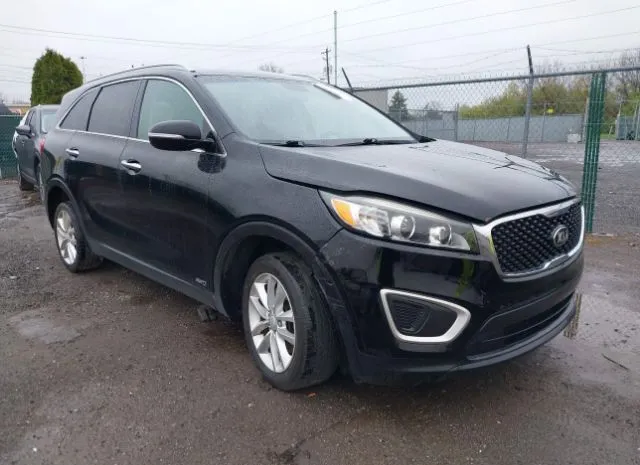 2016 KIA  - Image 1.