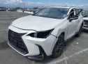 2024 LEXUS  - Image 2.