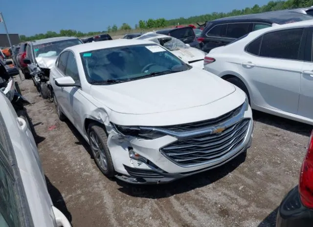 2019 CHEVROLET  - Image 1.