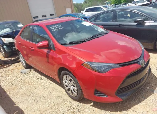 2019 TOYOTA  - Image 1.