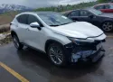 2024 LEXUS NX 2.5L 4