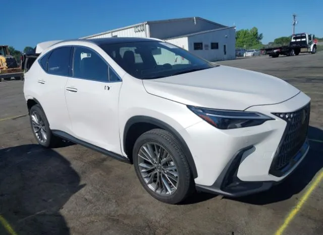 2022 LEXUS  - Image 1.