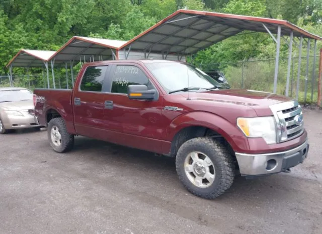 2009 FORD  - Image 1.