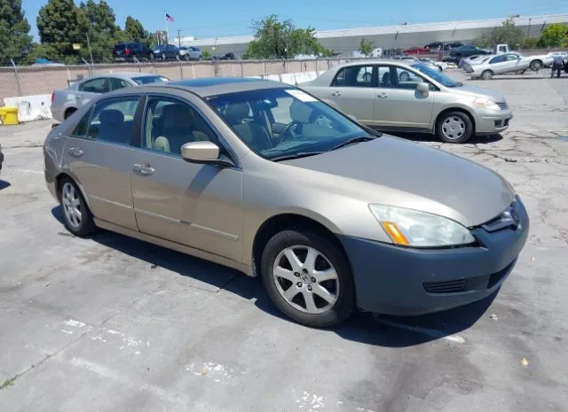 2005 HONDA  - Image 1.