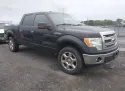 2013 FORD F-150 5.0L 8