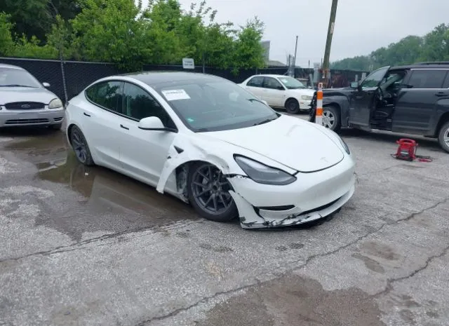 2023 TESLA  - Image 1.