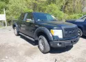 2009 FORD F-150 4.6L 8