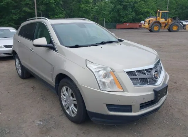 2010 CADILLAC  - Image 1.