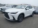 2023 LEXUS  - Image 2.