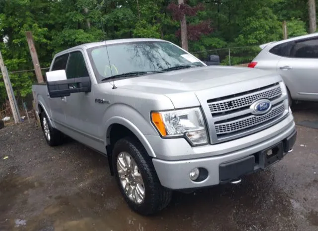 2009 FORD  - Image 1.