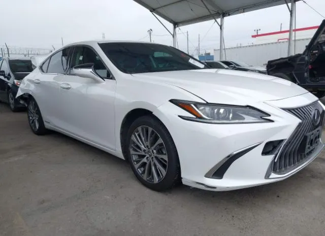 2019 LEXUS  - Image 1.