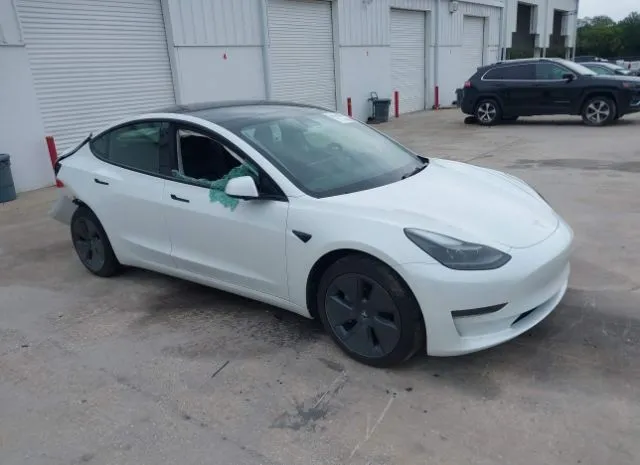 2023 TESLA  - Image 1.