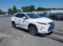 2020 LEXUS  - Image 1.