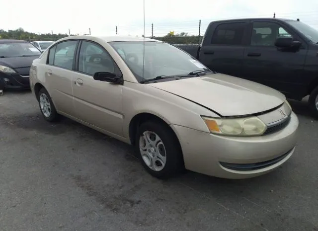 2004 SATURN  - Image 1.