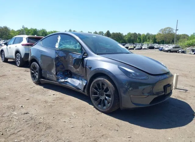 2023 TESLA  - Image 1.