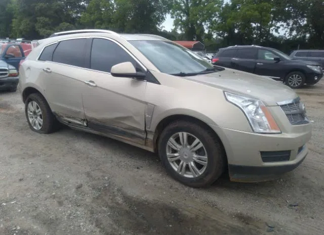 2010 CADILLAC  - Image 1.