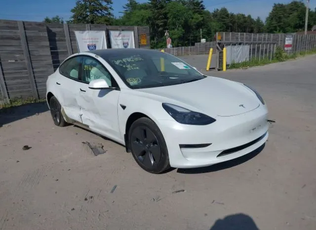 2023 TESLA  - Image 1.