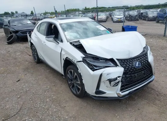 2022 LEXUS  - Image 1.