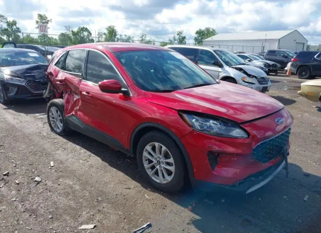 2020 FORD  - Image 1.