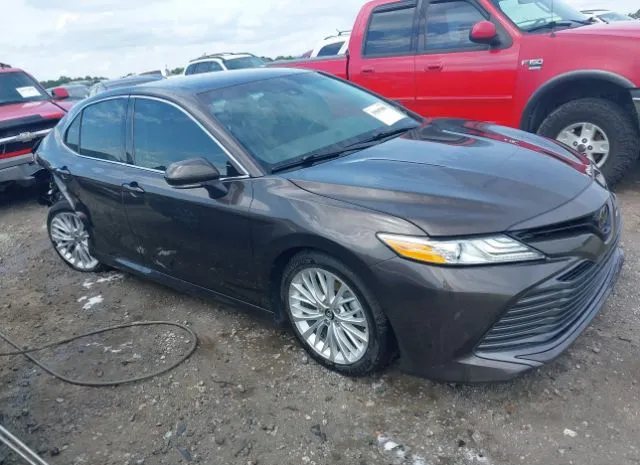 2019 TOYOTA  - Image 1.